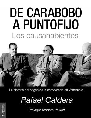 Cover of the book De Carabobo a Puntofijo by Daniel Chapela