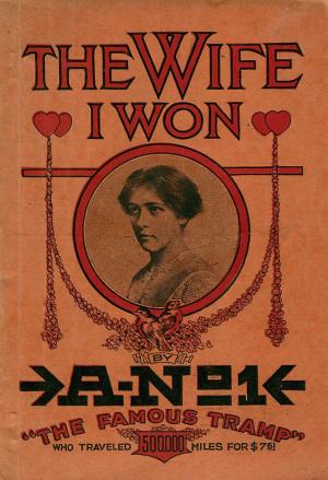 Cover of the book The Wife I Won by Gera-Lind Kolanik, Wayne Klatt