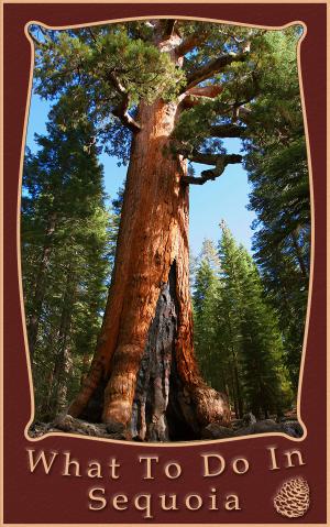 Cover of the book What To Do In Sequoia and Kings Canyon by Michelle Nichols