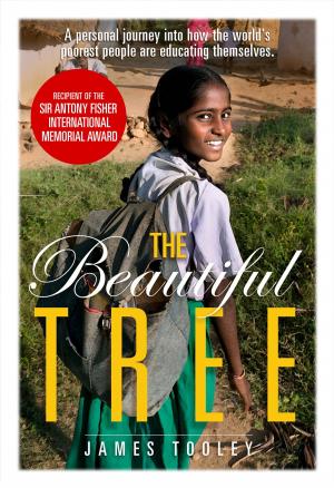 Book cover of The Beautiful Tree