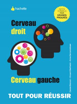 Cover of the book Cerveau droit, cerveau gauche, développez vos facultés cognitives by Stéphan Lagorce