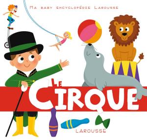 Cover of the book Le cirque by Martina Krčmár