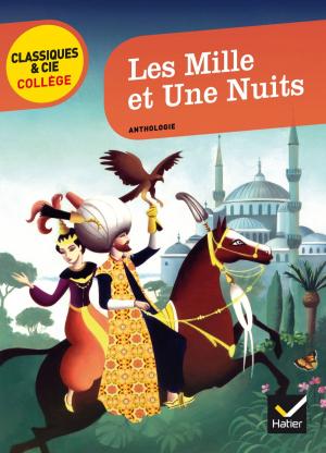 Cover of the book Les Mille et une Nuits by Sylvie Dauvin, Jacques Dauvin