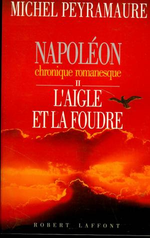 Cover of the book Napoléon, tome 2 : L'aigle et la foudre by Guillaume BINET, Pauline GUÉNA