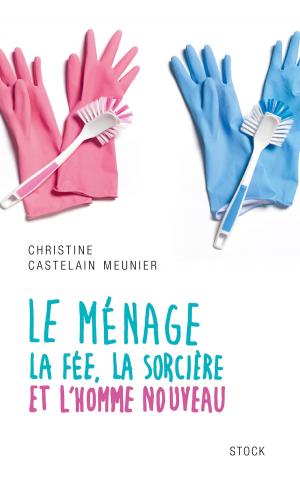 Cover of the book Le ménage by Yves Desmazes