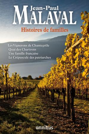 Book cover of Histoires de familles