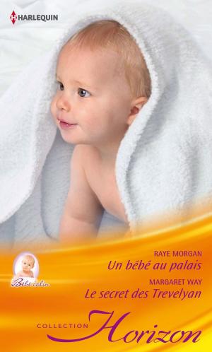 Cover of the book Un bébé au palais - Le secret des Trevelyan by Beverly Barton