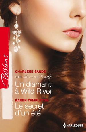 Cover of the book Un diamant à Wild River - Le secret d'un été by Cathy McDavid