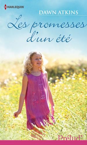 Book cover of Les promesses d'un été