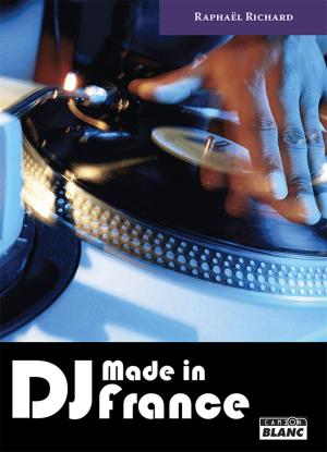 Cover of the book DJ by Gerard J. Schaefer