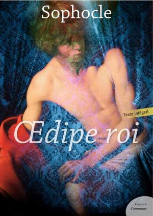 Cover of the book OEdipe roi by Maurice Leblanc