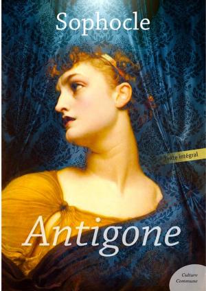 Cover of the book Antigone by James Fenimore Cooper
