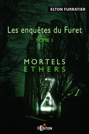 Cover of the book Les enquêtes du Furet by Chris J Mitchell