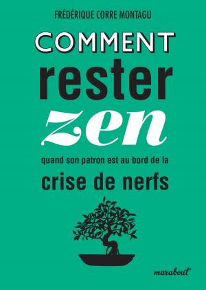 Cover of the book Comment rester zen quand son patron est au bord de la crise de nerf by Anne Thoumieux