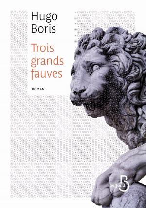 Cover of the book Trois grands fauves by Valérie de BOISROLIN