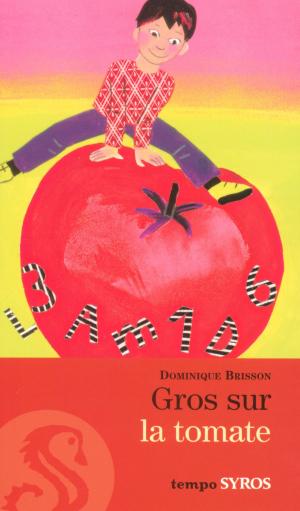 Cover of the book Gros sur la tomate by Agnès Vandewiele