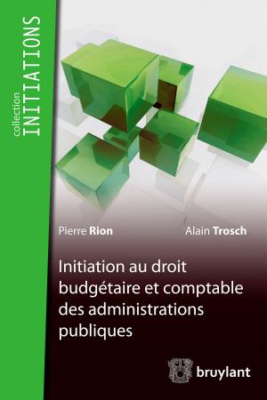Cover of the book Initiation du droit budgétaire et comptable des administrations publiques by Nicolas de Sadeleer, Jean-Claude Bonichot