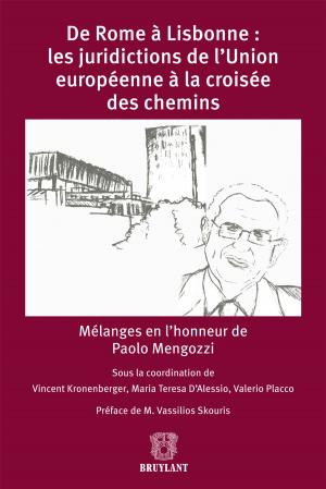 Cover of the book De Rome à Lisbonne: les juridictions de l'Union européenne à la croisée des chemins by 