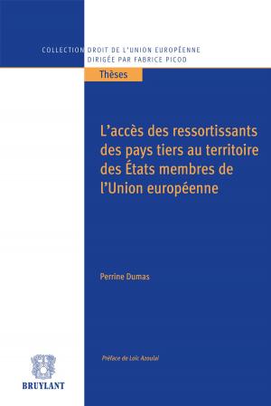 Cover of the book L'accès des ressortissants des pays tiers au territoire des États membres de l'Union européenne by Rafael Amaro, Martine Behar-Touchais, Guy Canivet