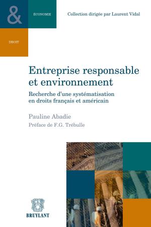 Cover of the book Entreprise responsable et environnement by Laetitia Guilloud–Colliat