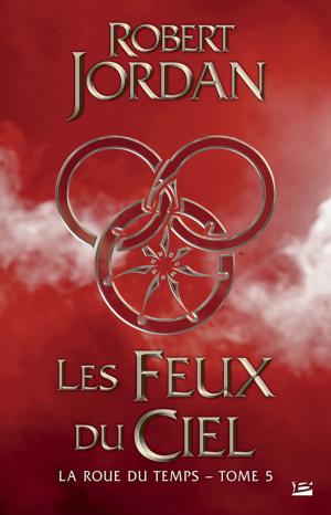 Cover of the book Les Feux du ciel by Véronique Roméo