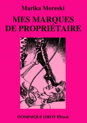 Cover of the book Mes marques de propriétaire by Jean-Pierre du Maine