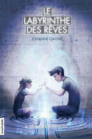 Cover of the book Le monde prison by Stanley Péan