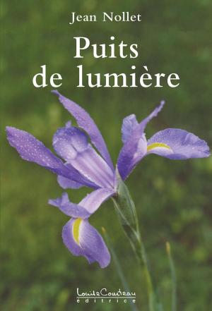 Cover of the book Puits de lumière by Dr Nick Begich