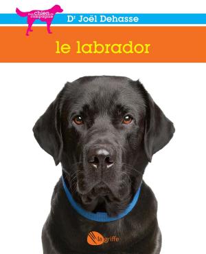 Book cover of Le labrador