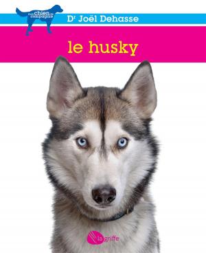 Cover of the book Le husky by Joël Dehasse