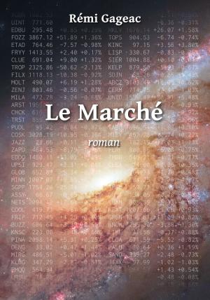 Cover of the book Le Marché by Nathan Goodman