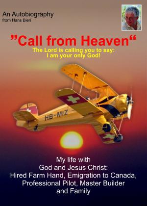 Cover of the book Call from Heaven by Penney Peirce