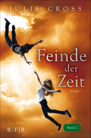 Cover of the book Feinde der Zeit by Klaus-Peter Wolf