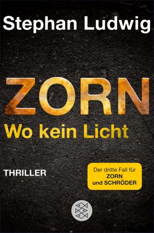 Book cover of Zorn - Wo kein Licht