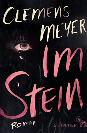 Cover of the book Im Stein by Carlos Ruiz Zafón