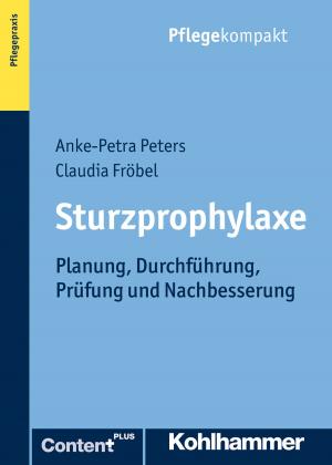 Cover of the book Sturzprophylaxe by Oliver Elzer