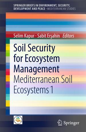 Cover of the book Soil Security for Ecosystem Management by Ravi P. Agarwal, Donal O’Regan, Patricia J. Y. Wong