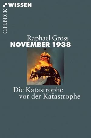 Cover of the book November 1938 by Thomas Junker