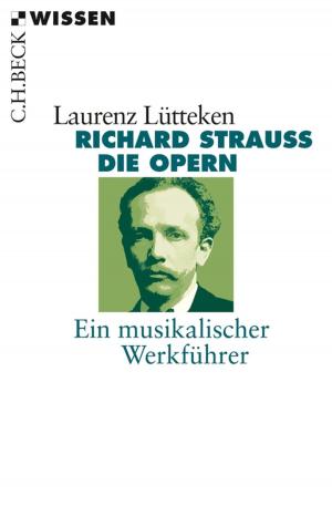 Cover of the book Richard Strauss by Helmut Remschmidt