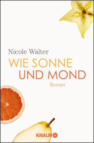 Book cover of Wie Sonne und Mond