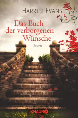 Cover of the book Das Buch der verborgenen Wünsche by Andreas Föhr