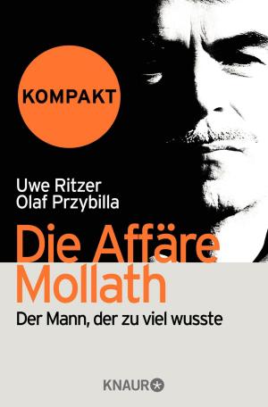 Cover of the book Die Affäre Mollath - kompakt by Heike Kottmann