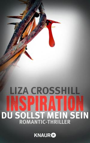 Cover of the book Inspiration - Du sollst mein sein! by Daniel Wiechmann