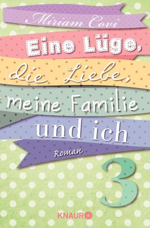Book cover of Eine Lüge, die Liebe, meine Familie und ich 3