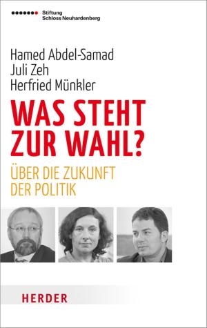Cover of the book Was steht zur Wahl? by 