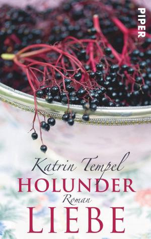 Cover of the book Holunderliebe by Nigel Thomas