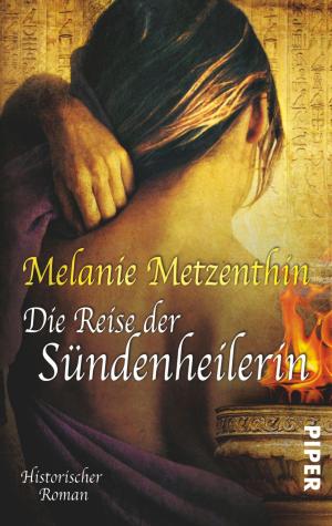 Book cover of Die Reise der Sündenheilerin