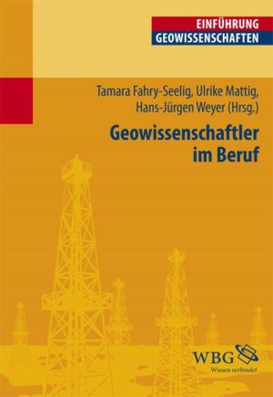 Book cover of Geowissenschaftler im Beruf