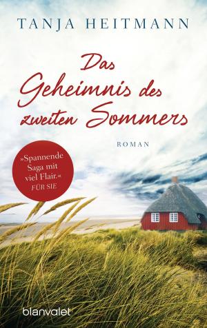Cover of Das Geheimnis des zweiten Sommers