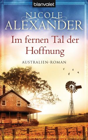 Cover of the book Im fernen Tal der Hoffnung by Duncan Lay